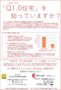 q10-pdf-big1